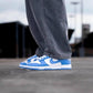 Nike SB dunks (Dot Perfect)