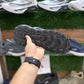 Skechers (3D Max Protect) Memory foam Inner sole